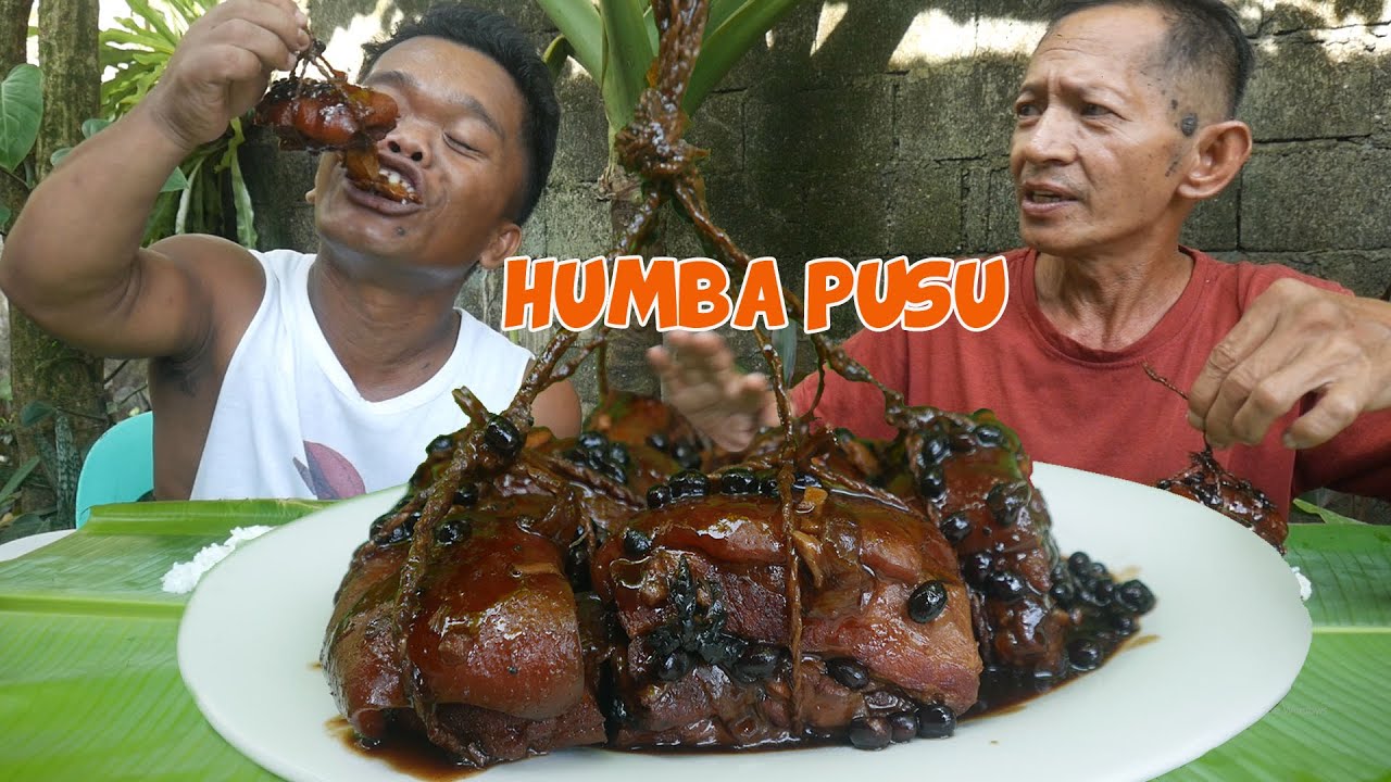 PUSU HUMBA