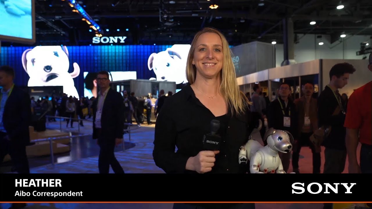 CES 2019 Las Vegas, NV