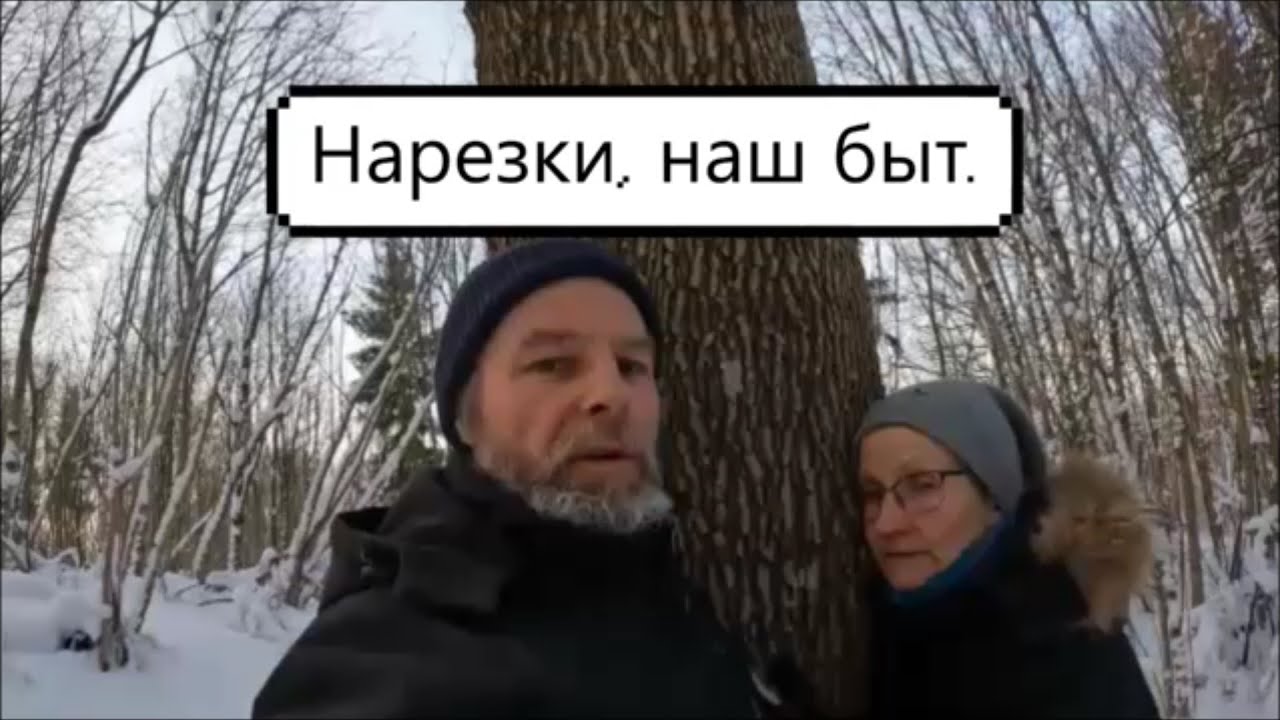 881. Разные нарезки. Наш быт.