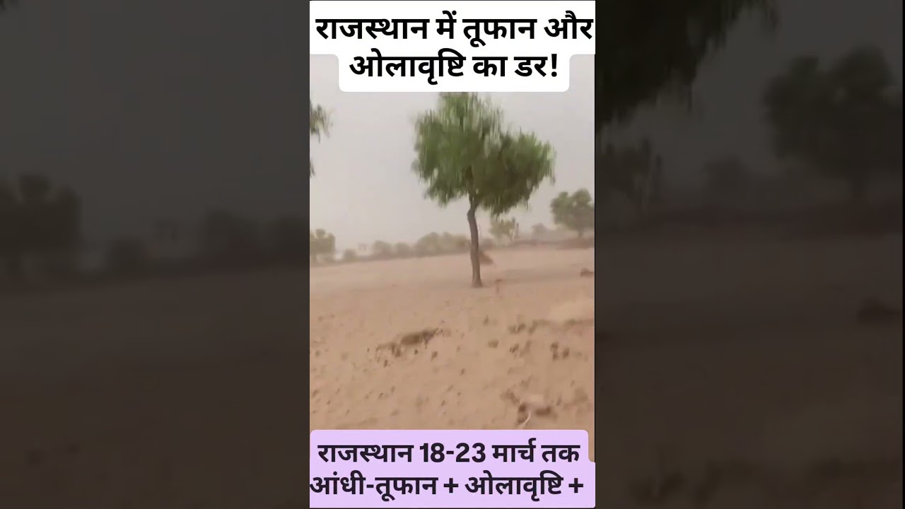 Rajasthan Weather Strong winds 50-60 kmph, rain storm, #mausam #imd #rajasthan_ka_mausam #Weather...