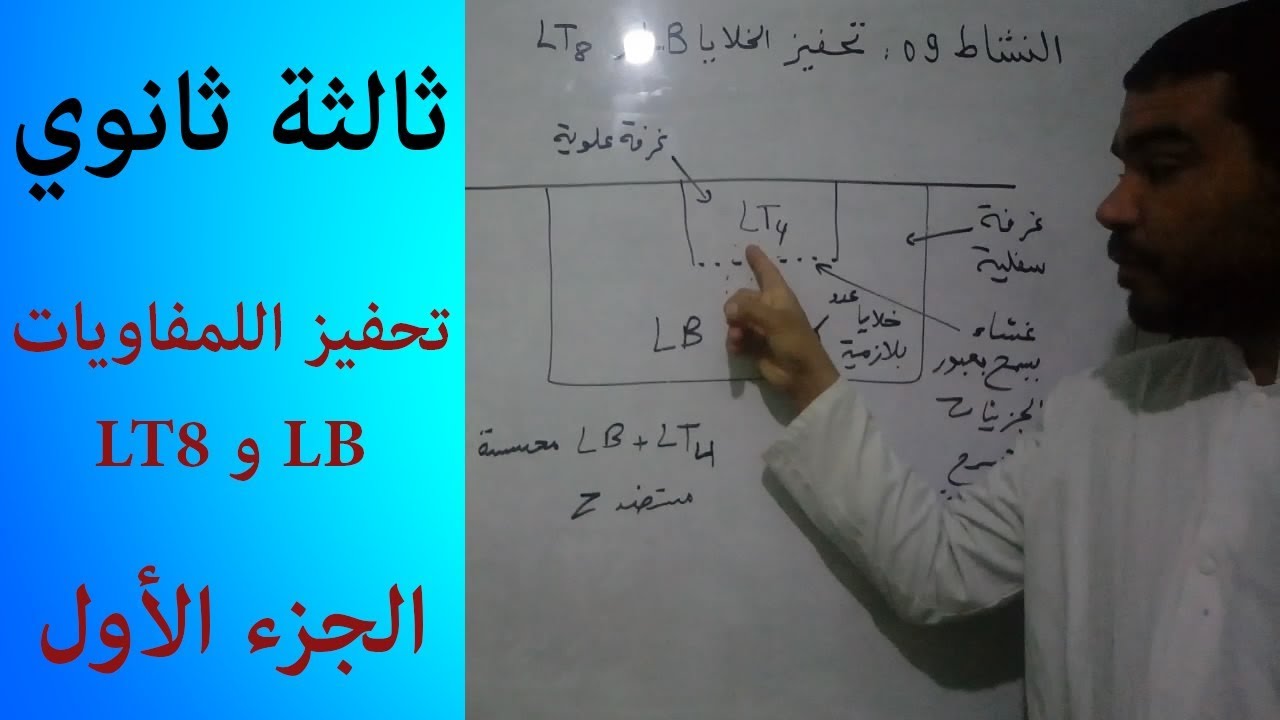 الدرس 59: تحفيز اللمفاويات LB و LT8 (الجزء الأول)