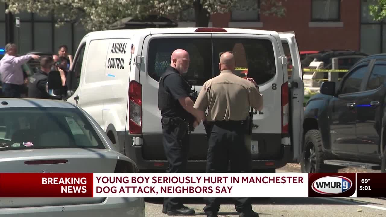 Boy seriously hurt in Manchester dog attack, neighbors say