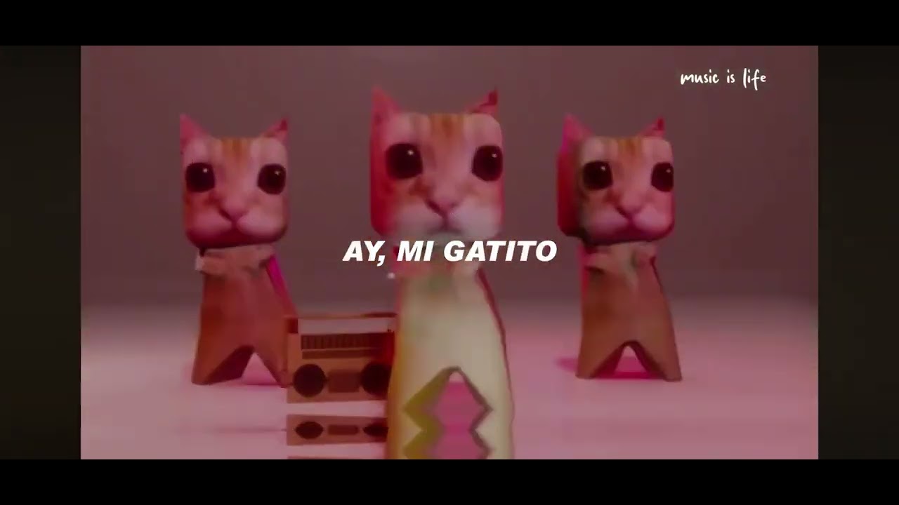 Miau miau amiga de tu