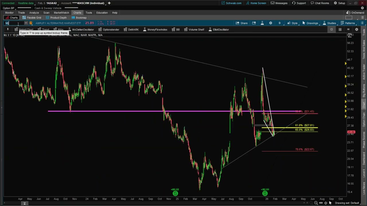 Market Remains Weak Stock Market CRASH