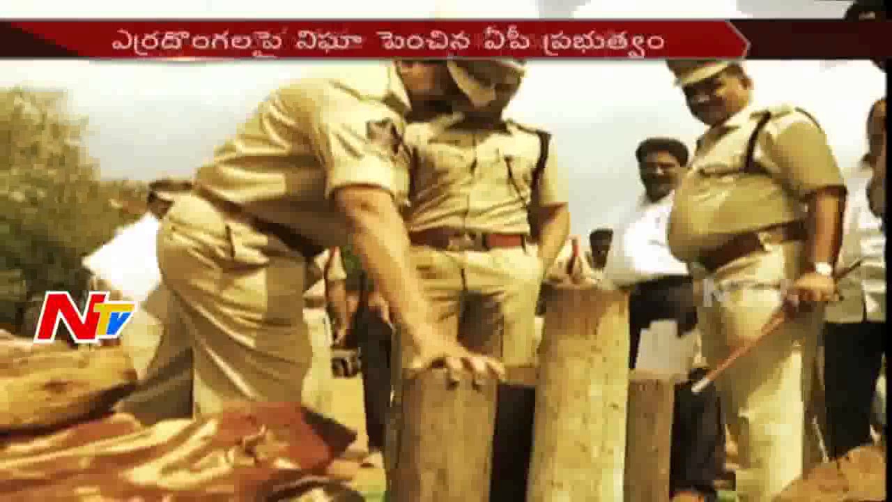 Police Seized 2.5 Cr Red Sandal Wood || Arrested 12 International Smugglers || NTV