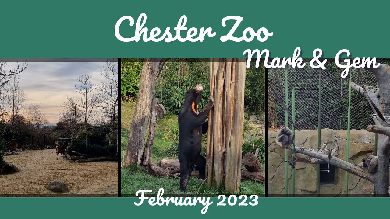 Visiting New Arrivals at Chester Zoo - February 2023