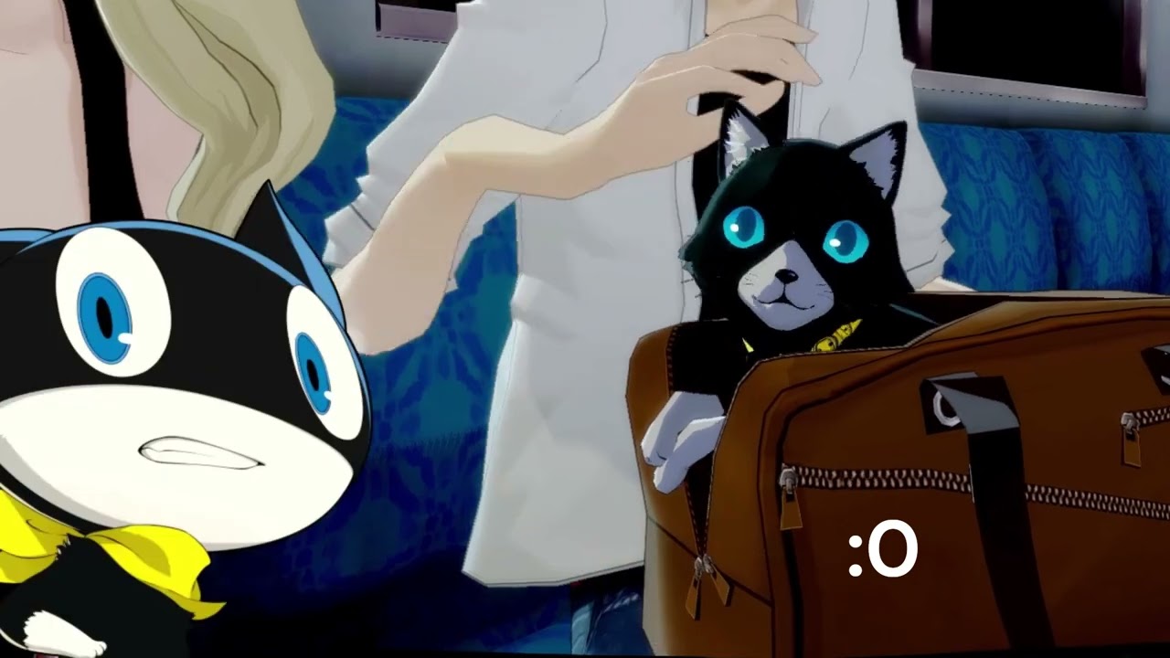 Morgana being pet on the Train! But it's close up!