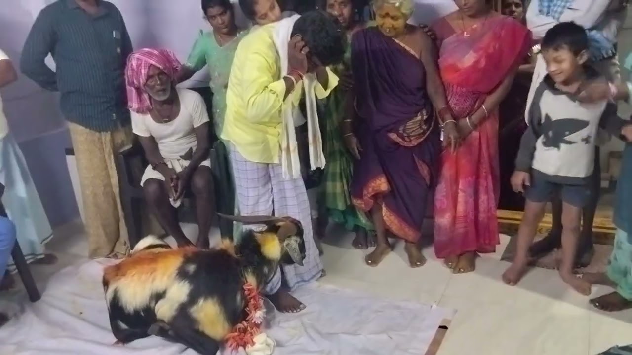 19 ఫిబ్రవరి, 2026