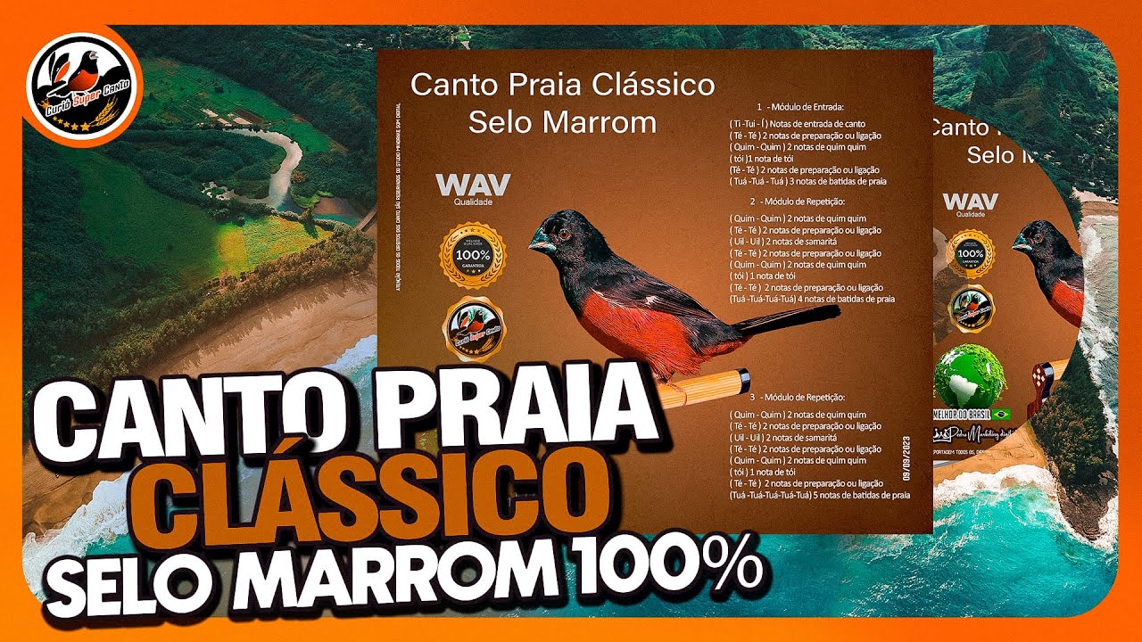 CANTO PRAIA CL&Aacute;SSICO SELO MARROM ♪