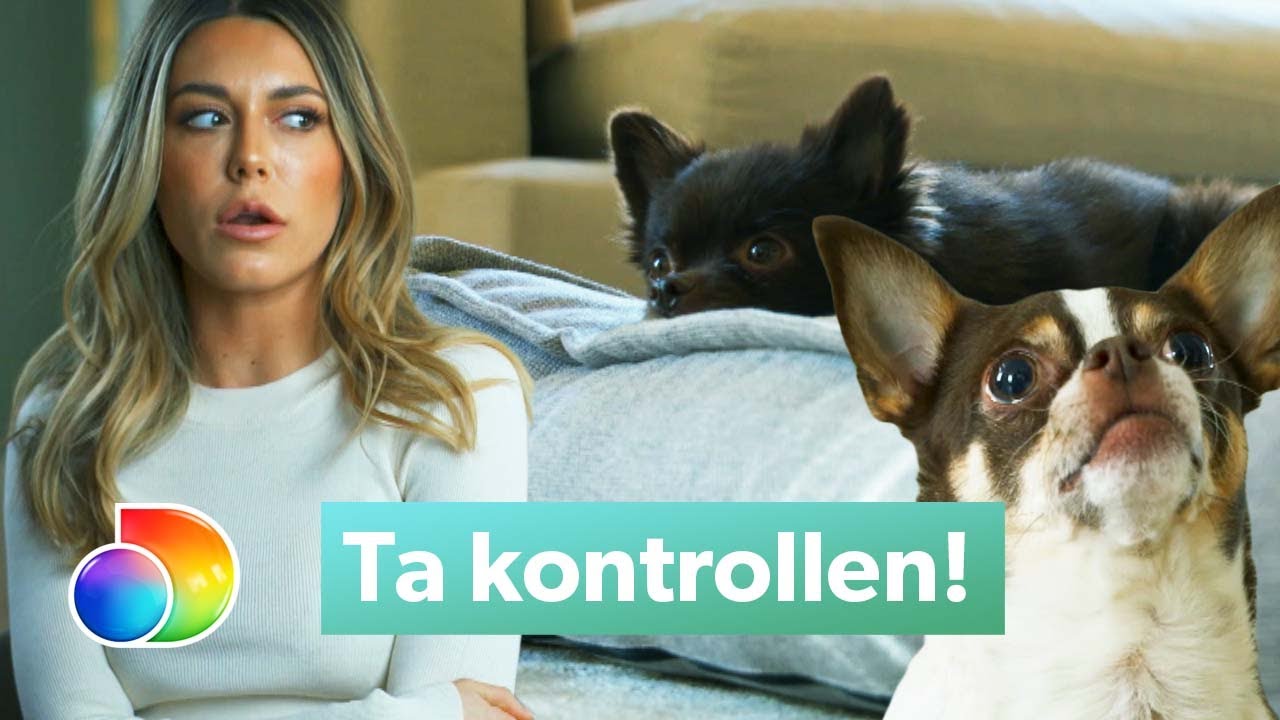 Wahlgrens värld | Bianca Ingrosso är supernervös inför hundcoaching | discovery+ Sverige