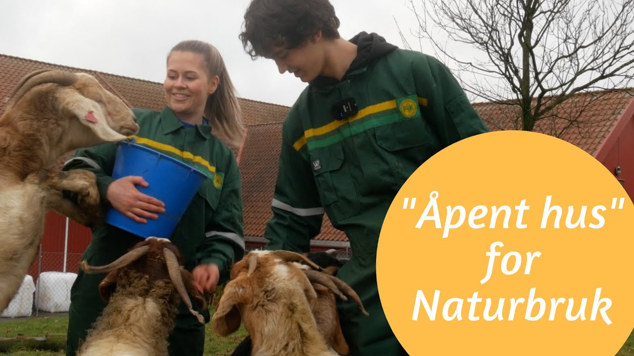Digital åpen dag for Naturbruk
