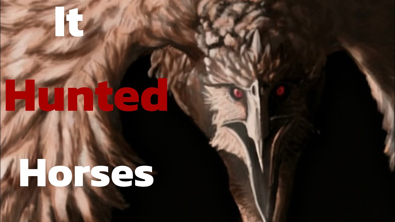 The Bird That Could Hunt Humans….