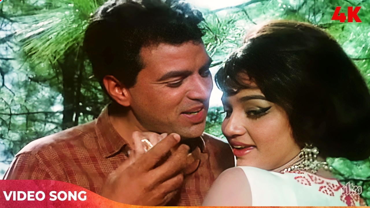 Dharmendra Asha Parekh Romantic Song | मेरे सरकार मेरी आहों का असर देख | Mahendra Kapoor | Shikar