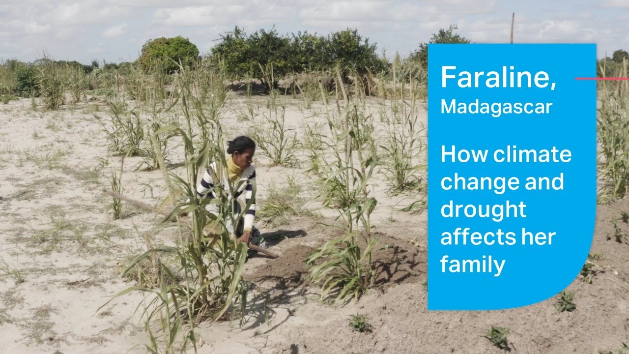 Faraline's Story, Madagascar - No rain, no food, an insecure future