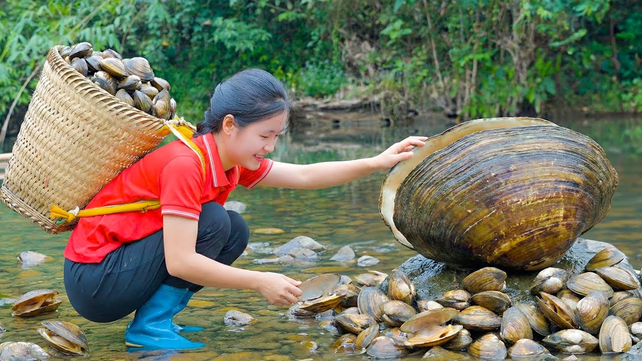 Unbelievable! Catching GIANT Fresh Clams in the Stream & Selling Them at the Local Market