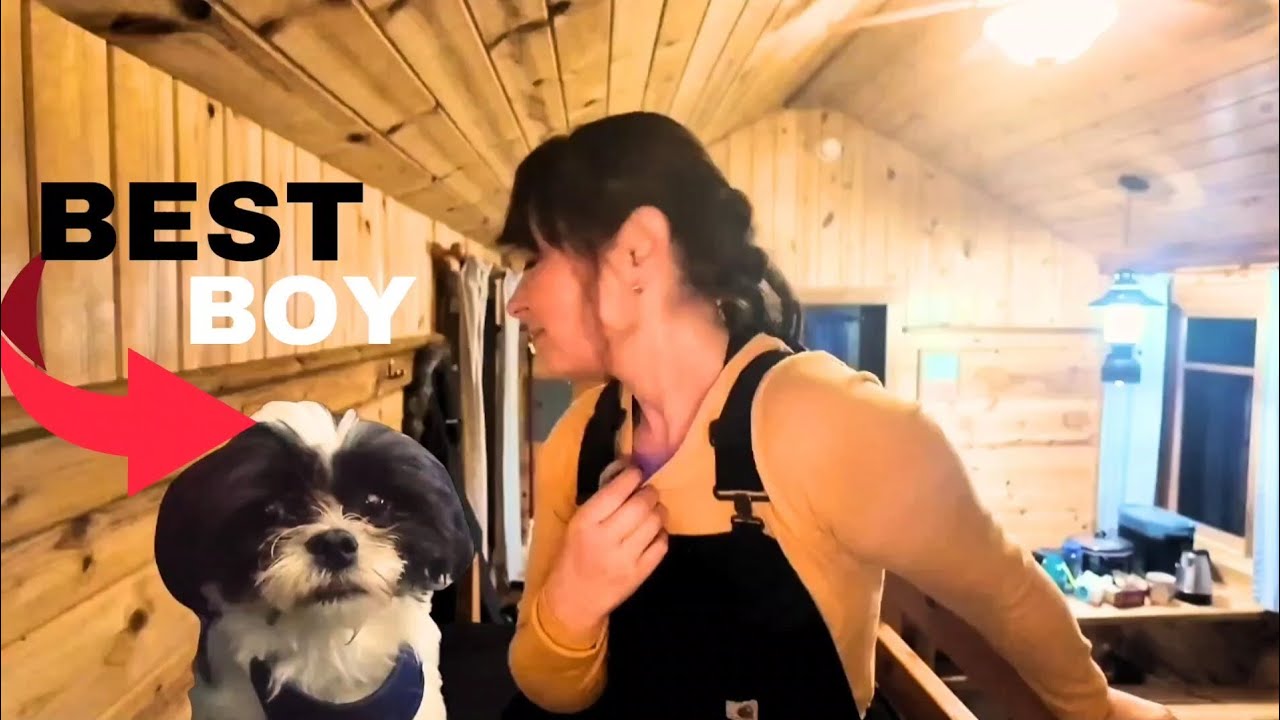 Solo Winter Tiny Cabin Camping with my Dog
