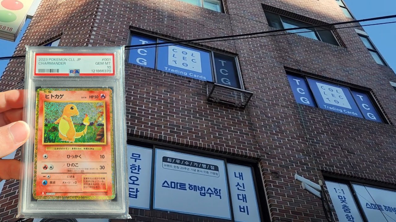 (1화)콜렉토TCG 다녀왔습니다!이곳이 카드들의 천국이군요...