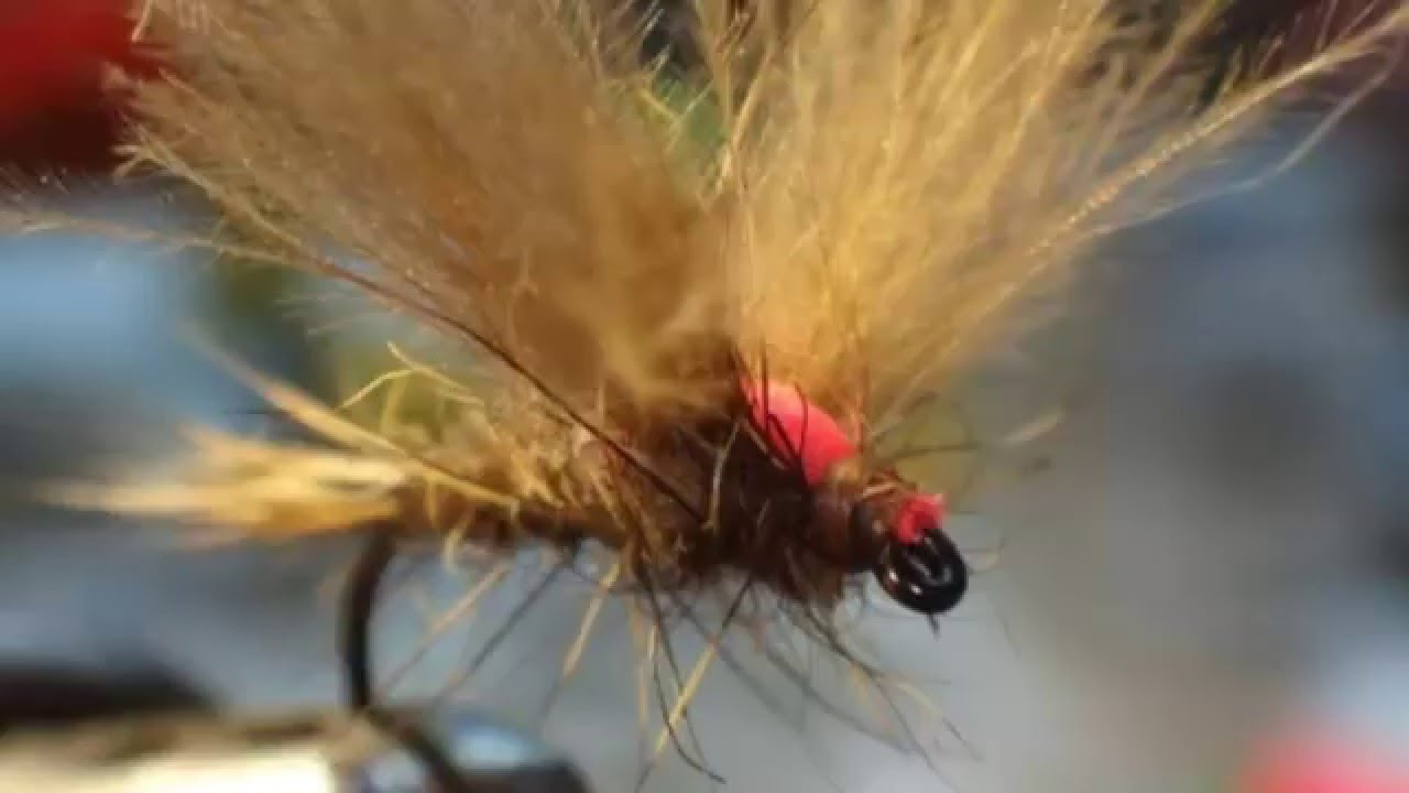 Montaje de una Mosca Seca Oreja de Liebre