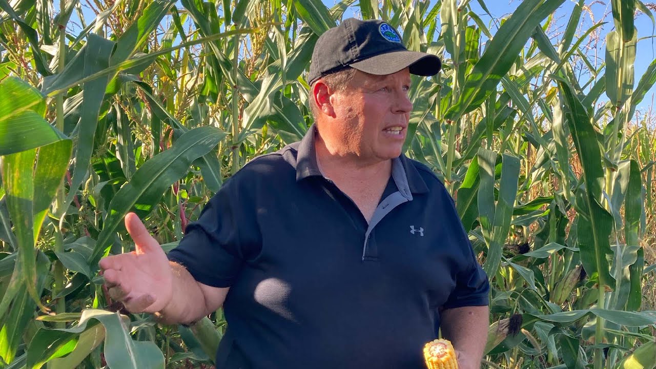 Let's Focus on Profit Per Acre: Kevin Fulton's Story