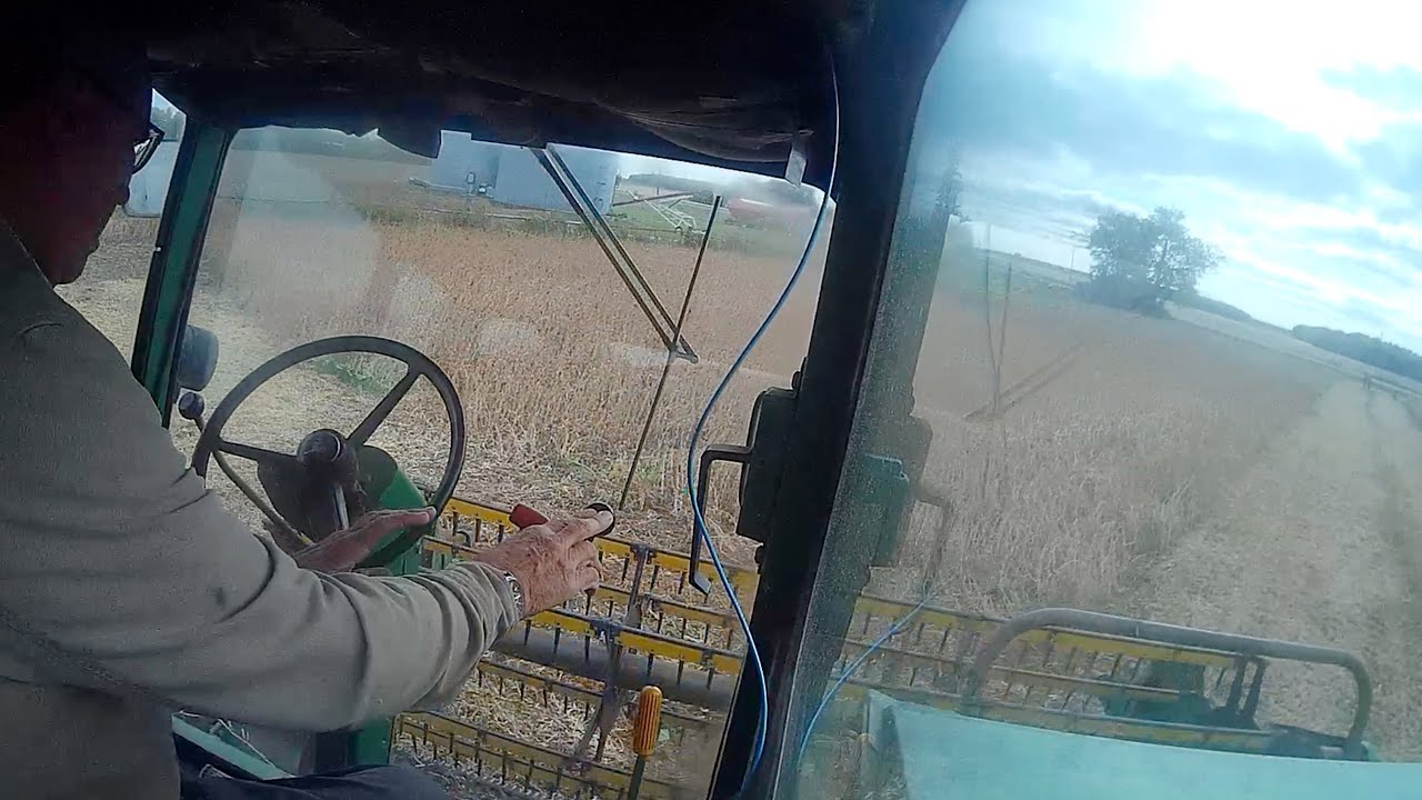 1976 John Deere 6600  Combine Harvesting Soy Beans