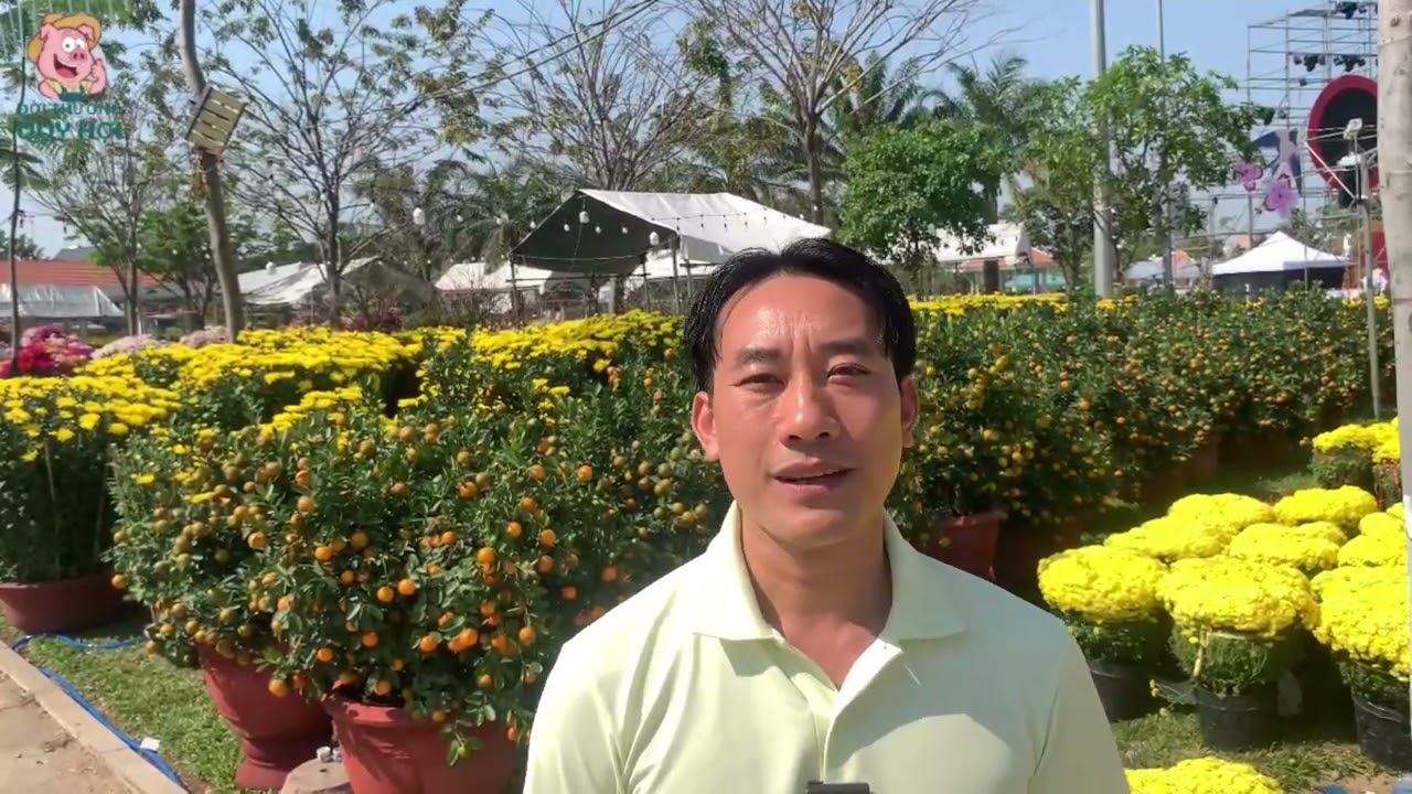 Bắt đầu từ con số 0. Quý Hợi đời thường xin chào