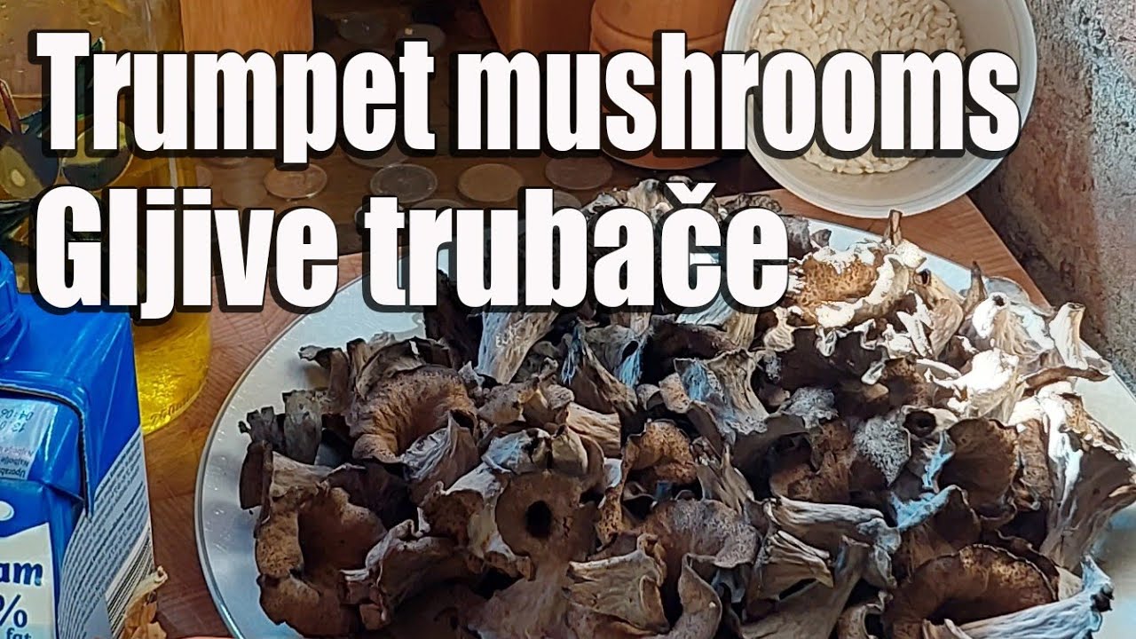 Rižoto od gljiva Trubača, Trumpet mushroom risotto