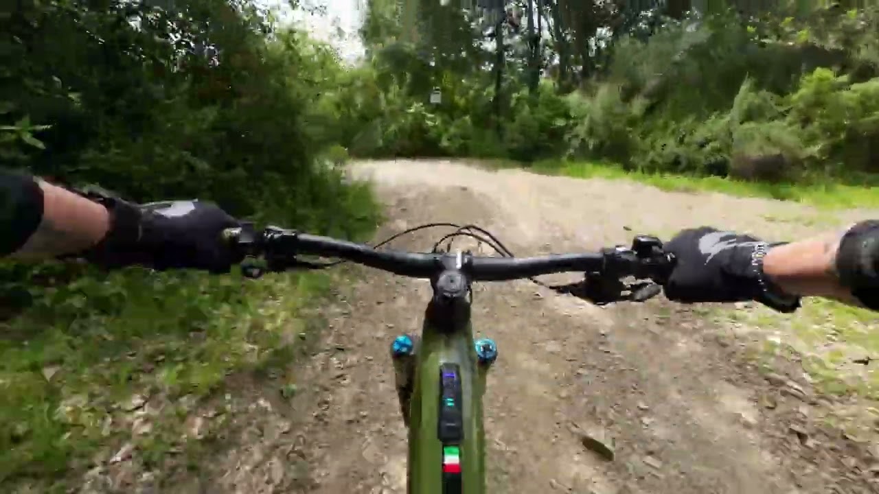 free ride massa