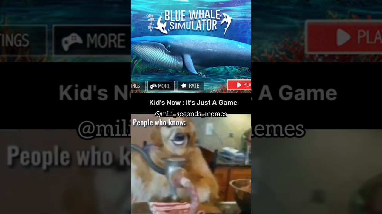 Blue Whale Game Today's Kids Vs those who knows