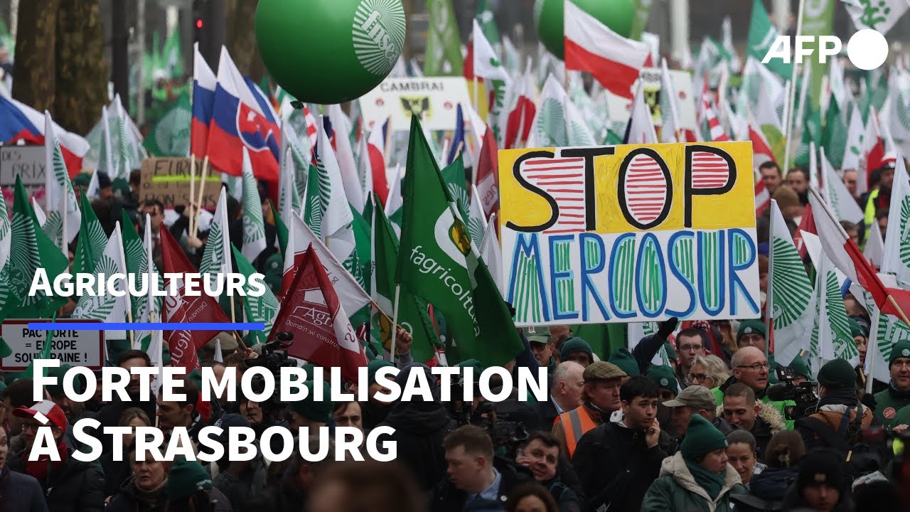 Mercosur: colère des agriculteurs européens | AFP
