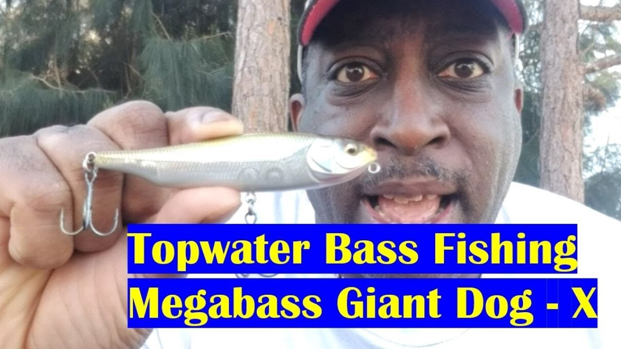 Bass Fishing | Topwater Bass Fishing with Mega Bass Giant Dog x