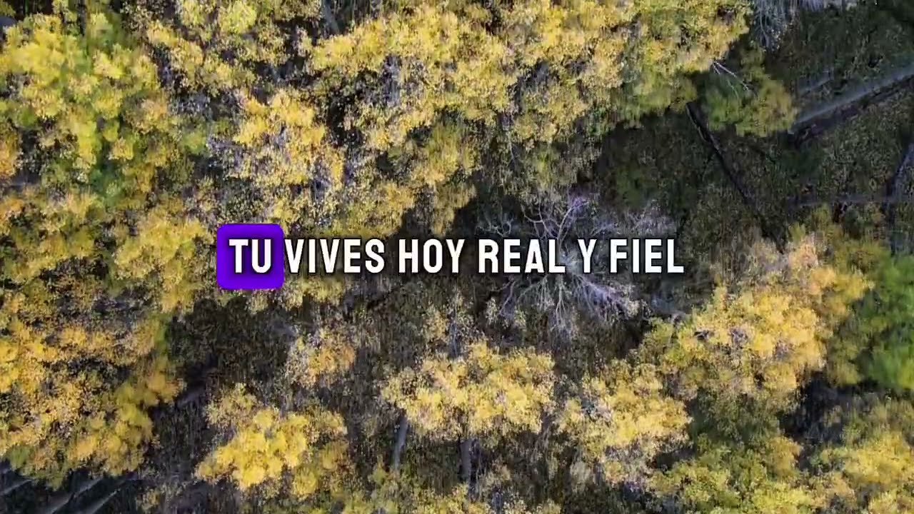 Mi Dios sigue siendo bueno - Alabanza