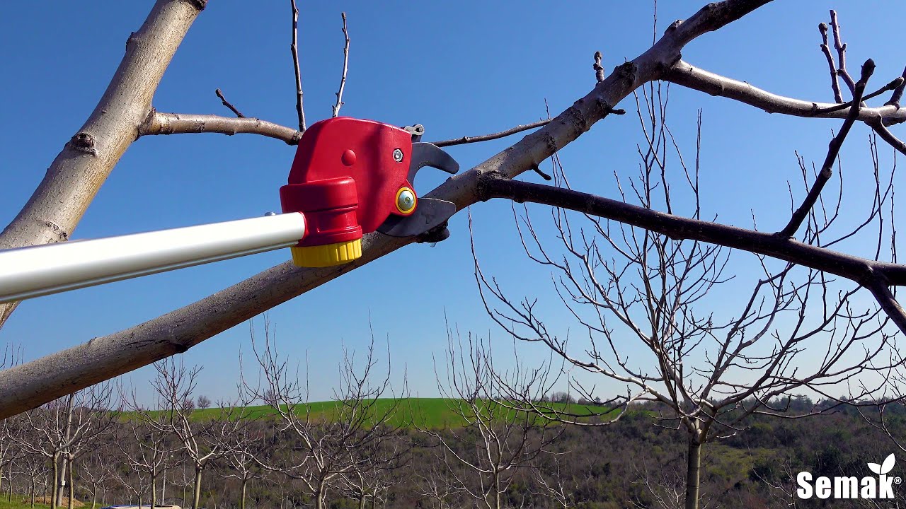 Wolf-Garten PDC RR 400 T Yüksek Dal Budama Makası