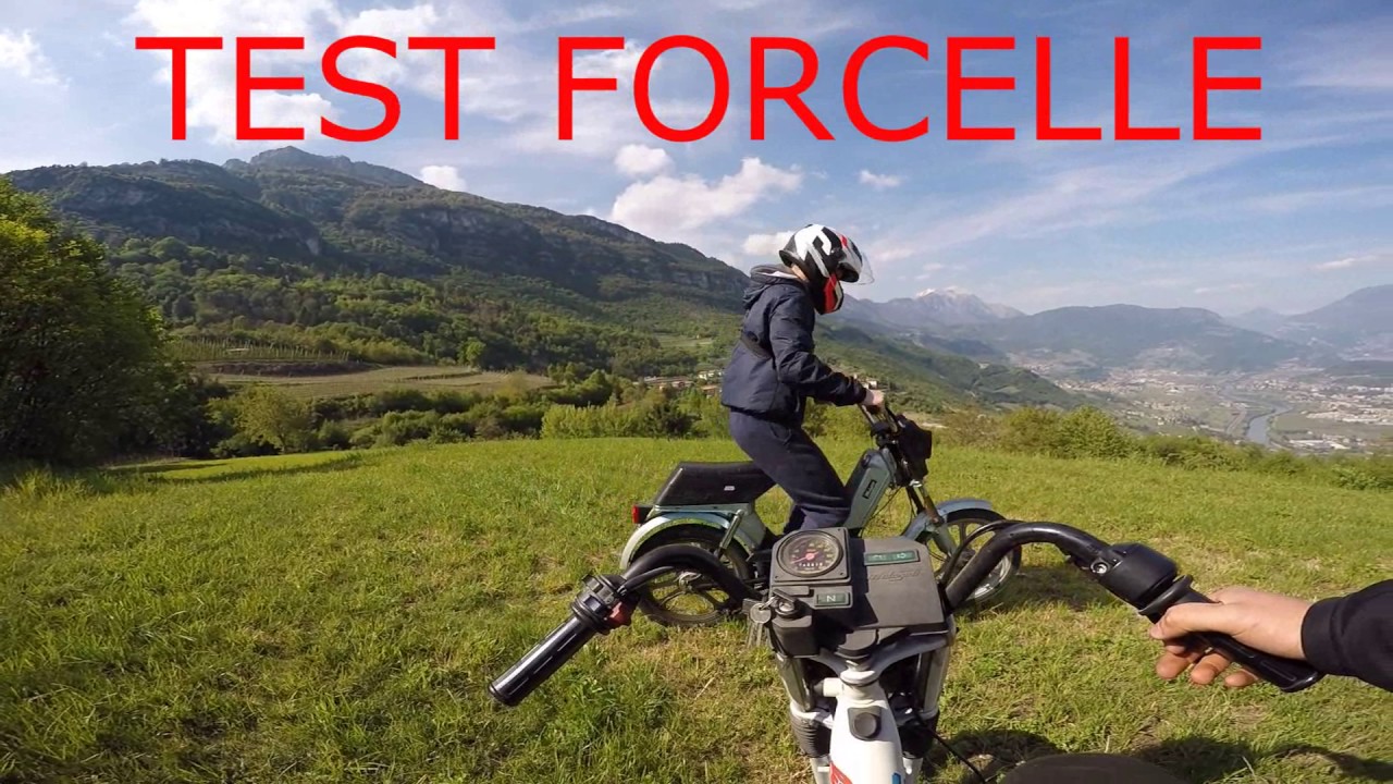 Malaguti Fifty Hf - FreeRide