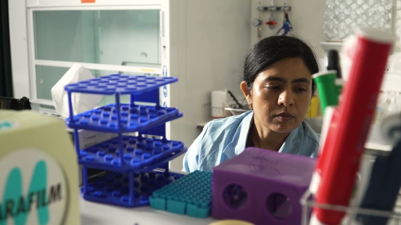 SiNfONiA Project: Advancing Nanosafety & Innovation at INL