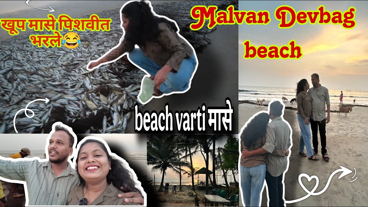 देवबाग beach la gelo firayla 😱😱beach varti खुप sare मासे @chitraslifediary #devbagh #malvan