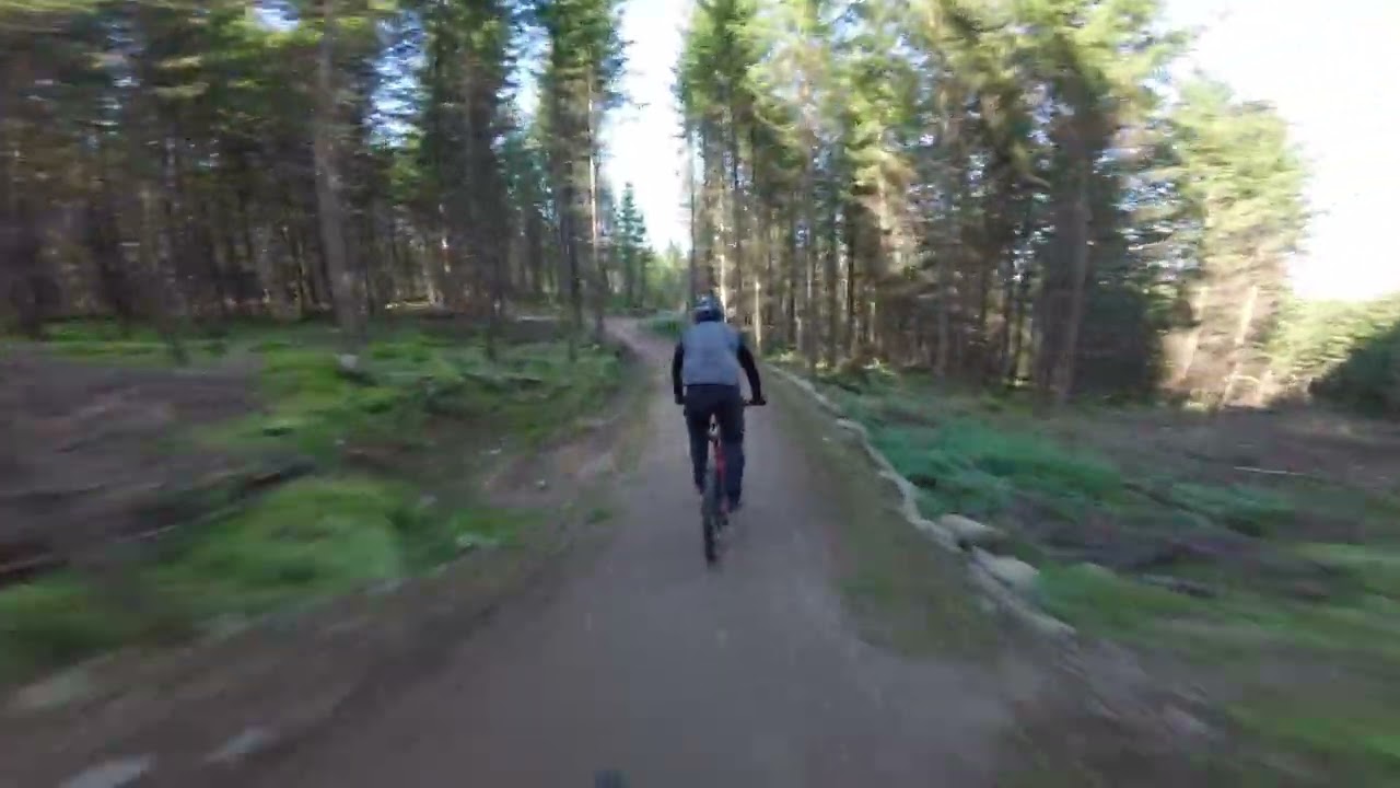 Loas gröna - Vallåsen Bike Park