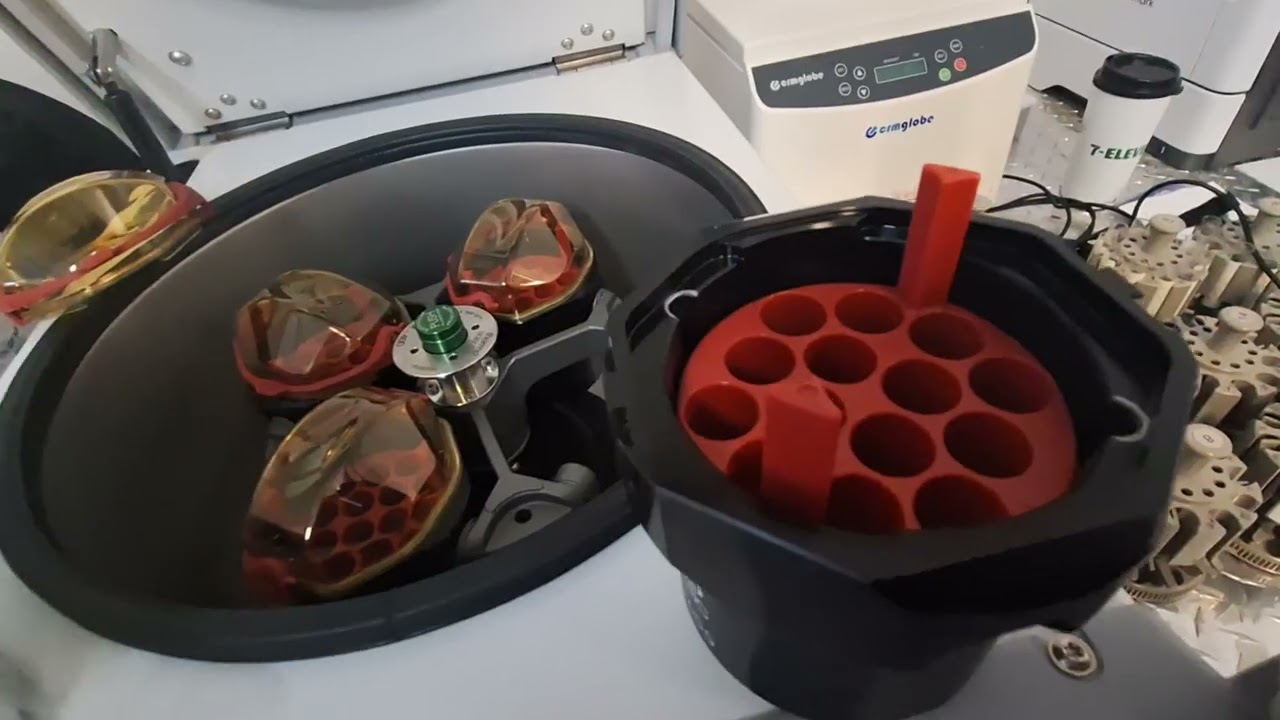 Centrífuga ST Plus Series Thermo Scientific