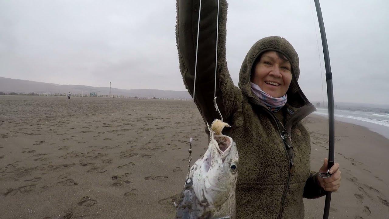 SURFCASTING, PESCA DE RONCACHOS, ARICA, LAS MACHAS