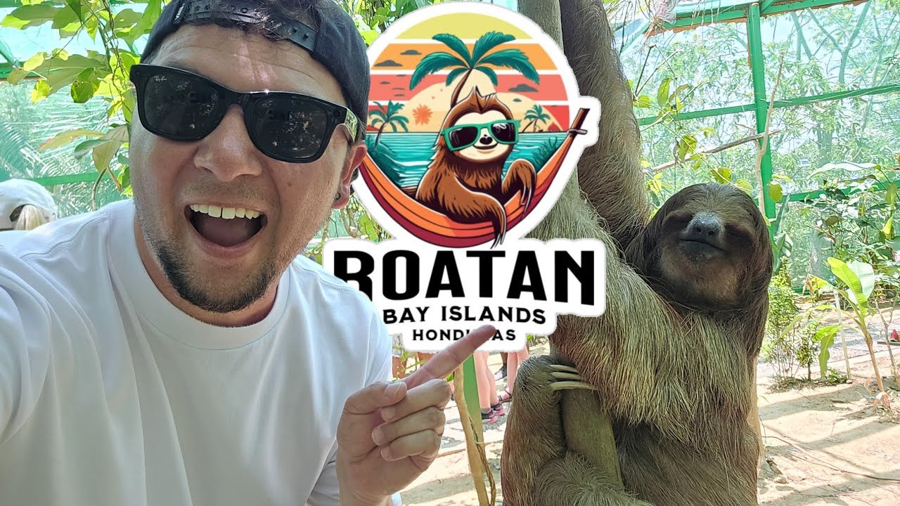 MSC World America Western Caribbean cruise, Day-4 Roatán Island Honduras Part 1