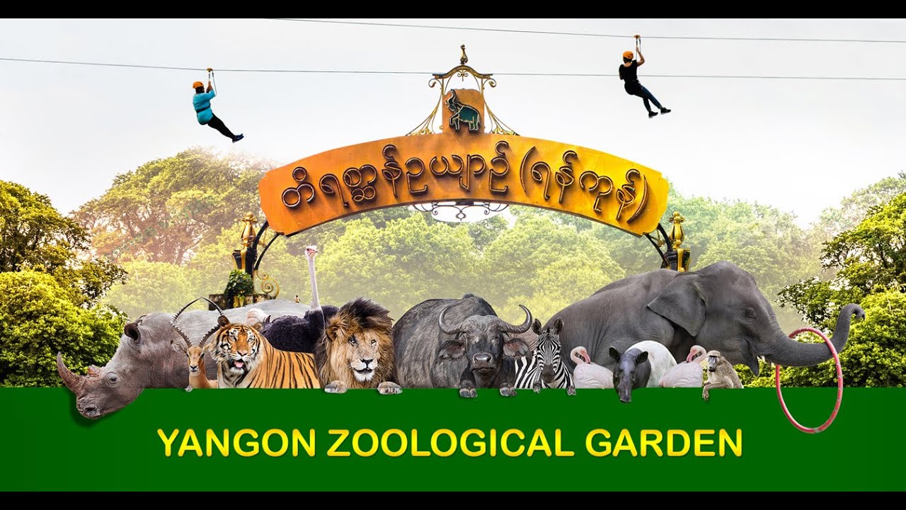 YANGON - ZOO (INCREDIBLE EXPERIENCE IN 2022)