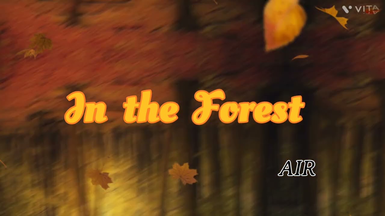 In the Forest | #music #naturephotography #naturlovers  #bgm