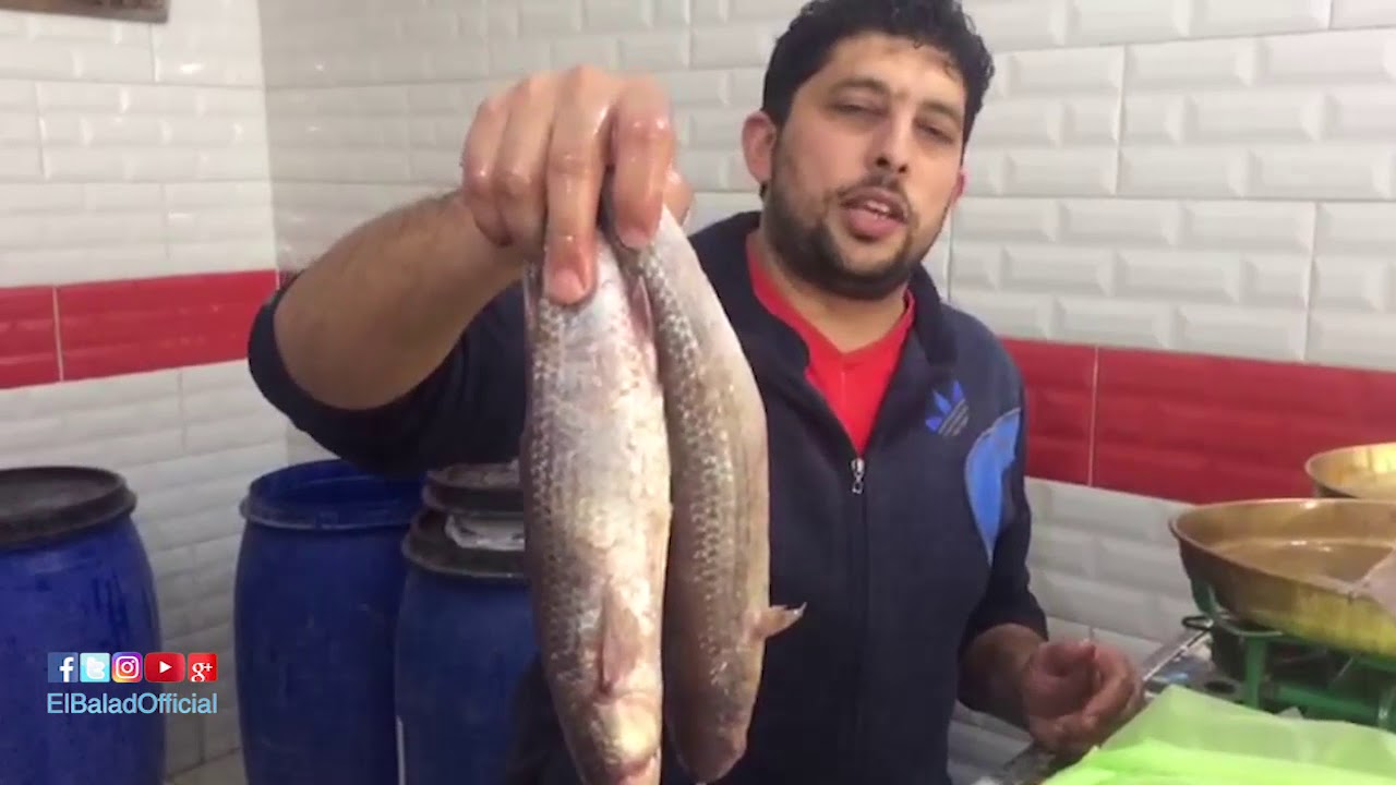 صدى البلد | «بيلا» .. هنا قلعة صناعة الفسيخ في كفر الشيخ.. الأسعار تبدأ من 70 إلى 100 جنيه للكيلو