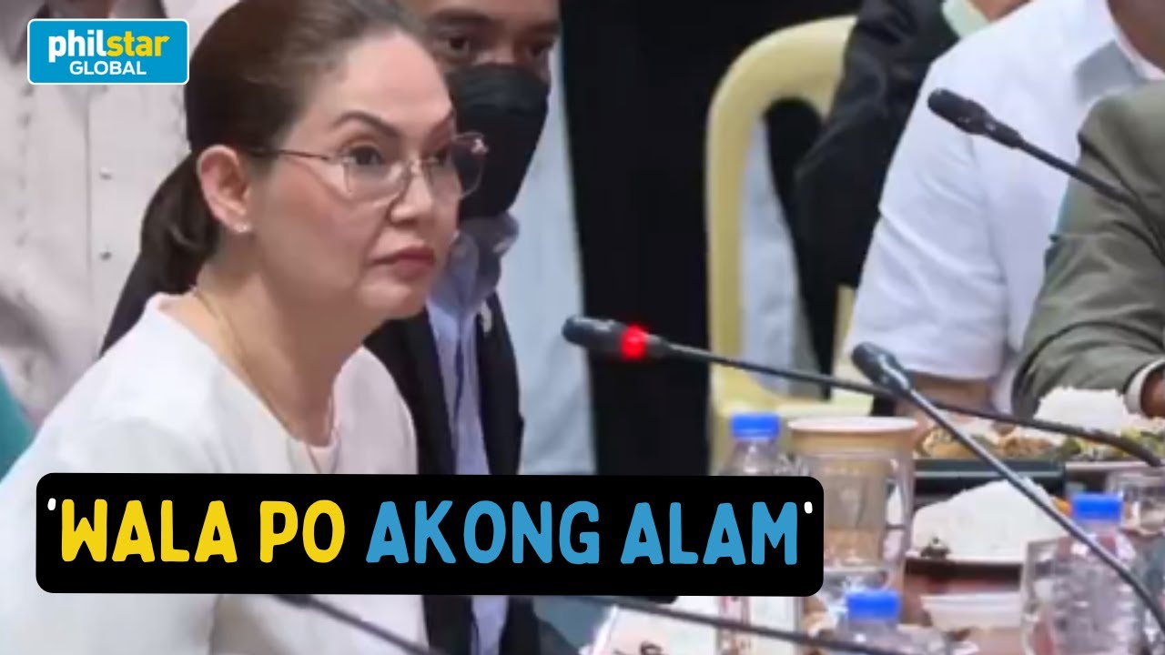 Maricel Soriano humarap sa Senate hearing tungkol sa umano'y 