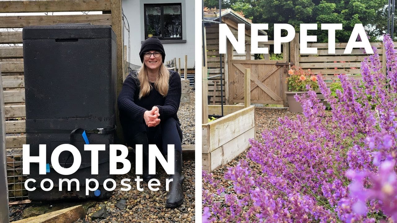 Hotbin Composter Full Clean-up and Nepeta/Catnip spring maintenance
