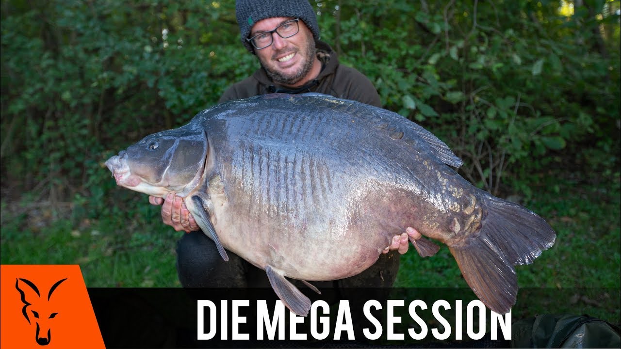 ***Karpfenangeln TV*** Die Mega Session