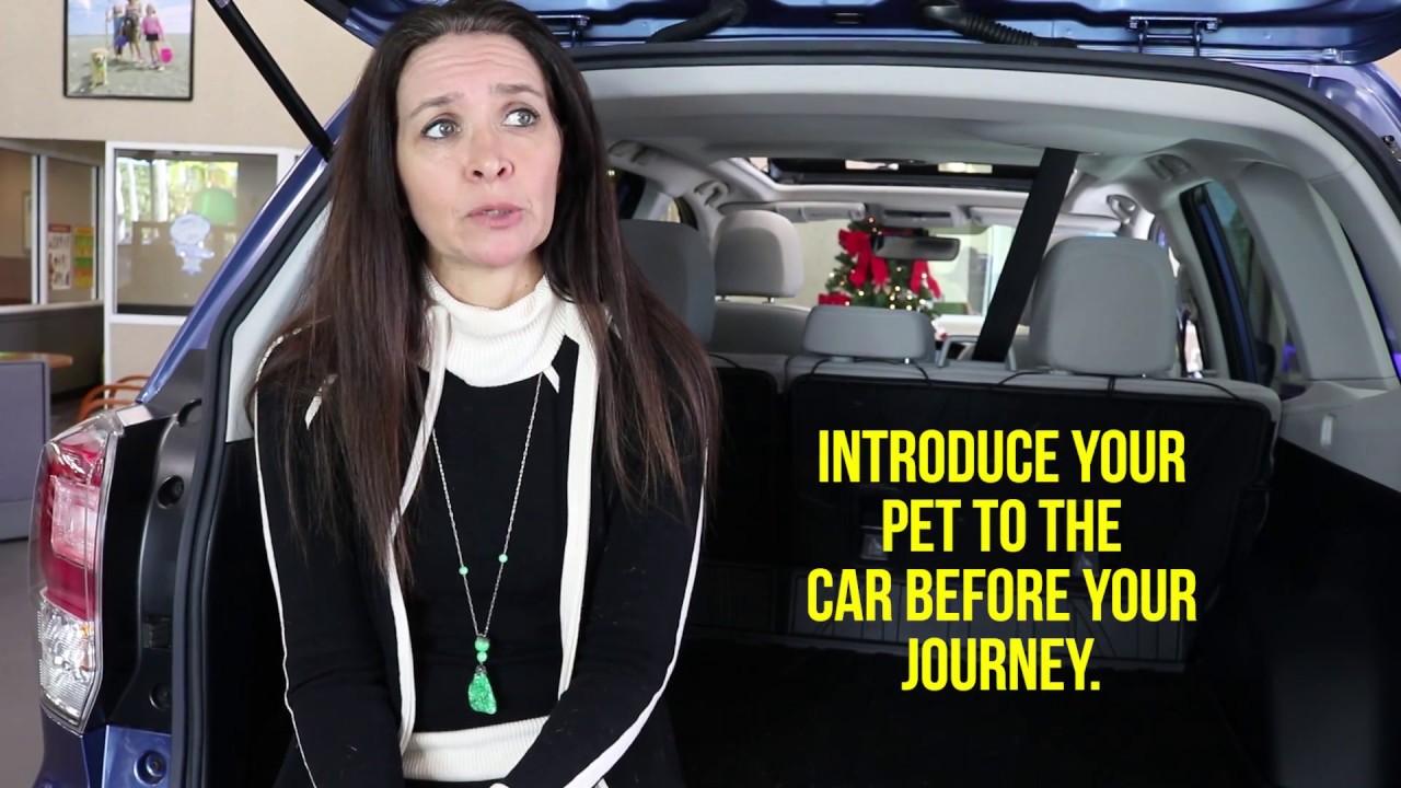Pet Travel Safety 2018
