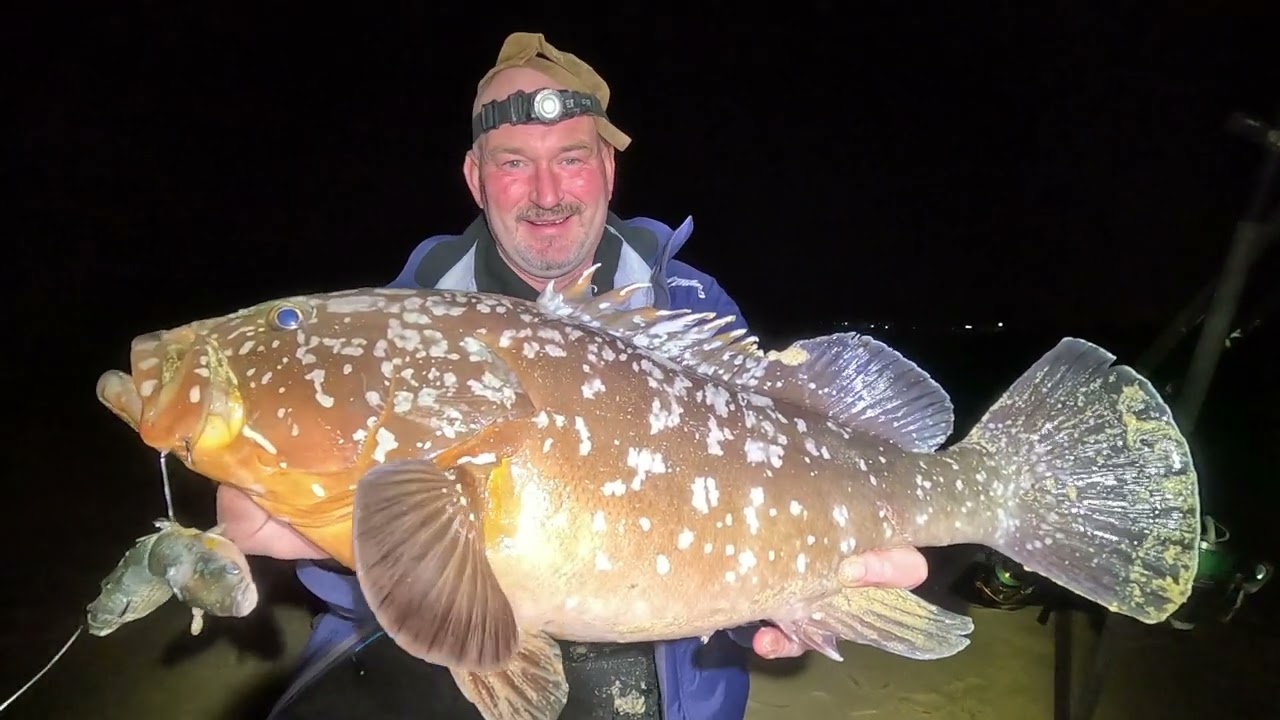 SHORE FISHING FUERTEVENTURA | RECORD SIZE ATLANTIC GROUPER FROM THE BEACH | PART 2 | MASTERFISHERMAN