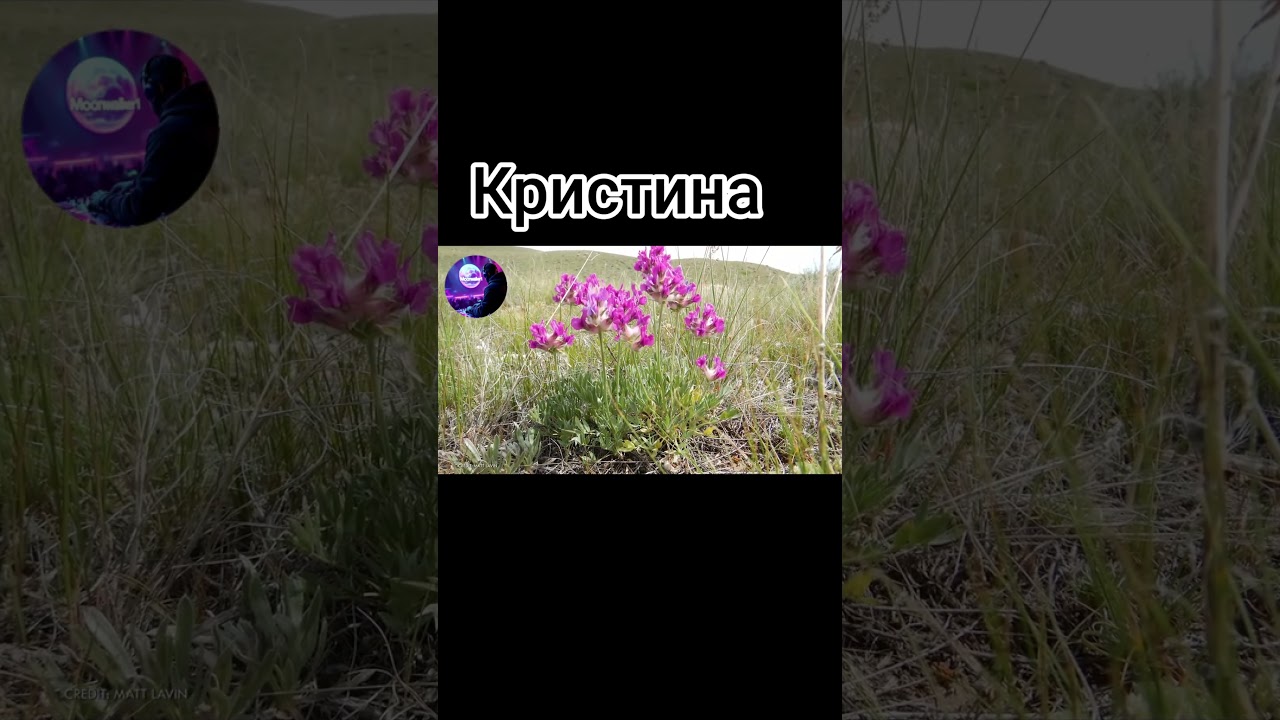Кристина 