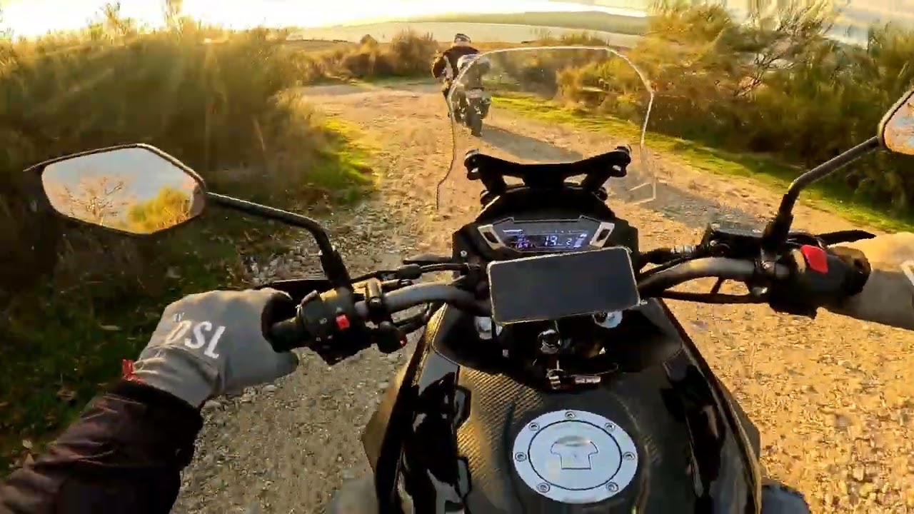 Ride or Die / MH tray 125