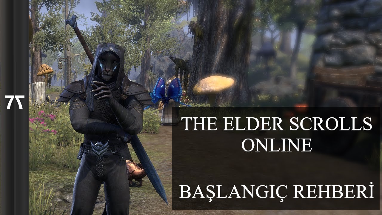 ( Güncel Rehber Açıklamada ) The Elder Scrolls Online Başlangıç Rehberi
